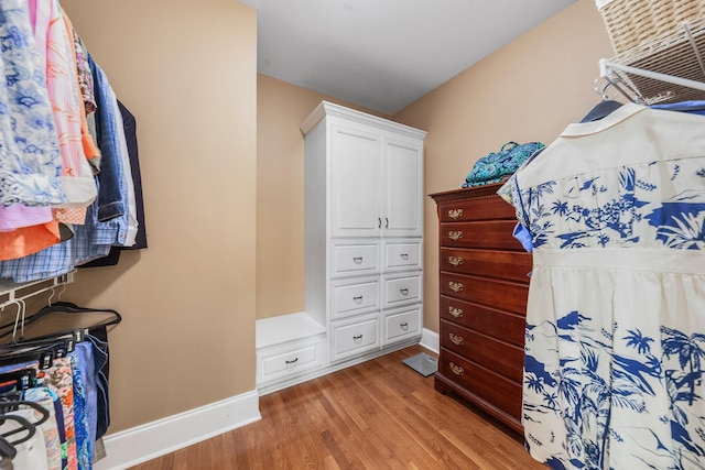 15687 Columbia Hwy, Lynnville, TN 38472 - spacious closet with light wood finished floors