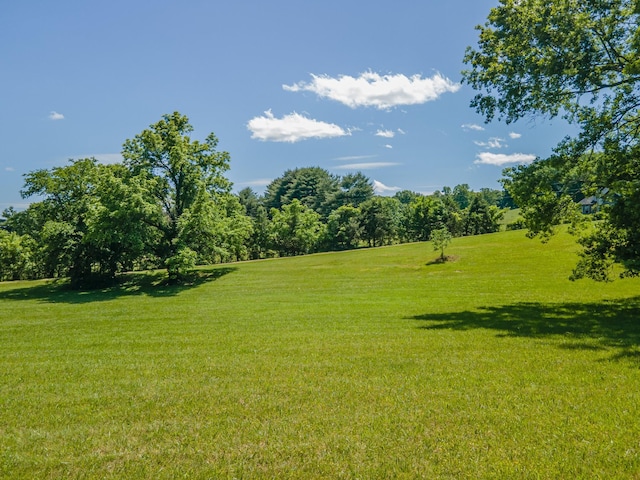 15687 Columbia Hwy, Lynnville, TN 38472 - view of green lawn