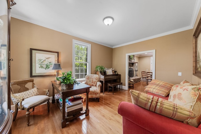 15687 Columbia Hwy, Lynnville, TN 38472 - living area featuring ornamental molding and light wood-type flooring