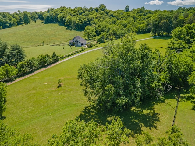 15687 Columbia Hwy, Lynnville, TN 38472 - aerial view of sparsely populated area