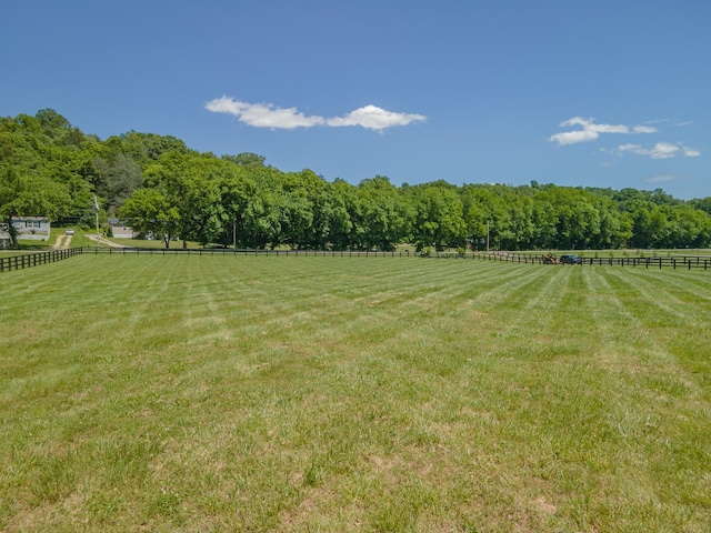15687 Columbia Hwy, Lynnville, TN 38472 - view of yard with a view of rural / pastoral area