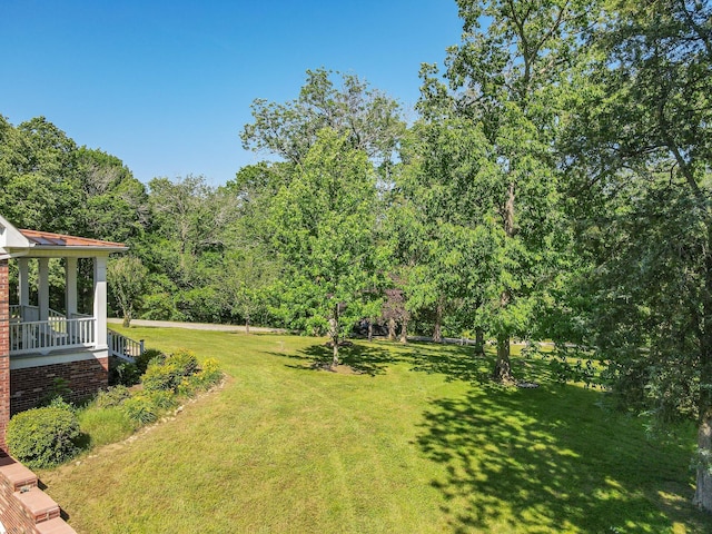 15687 Columbia Hwy, Lynnville, TN 38472 - view of green lawn