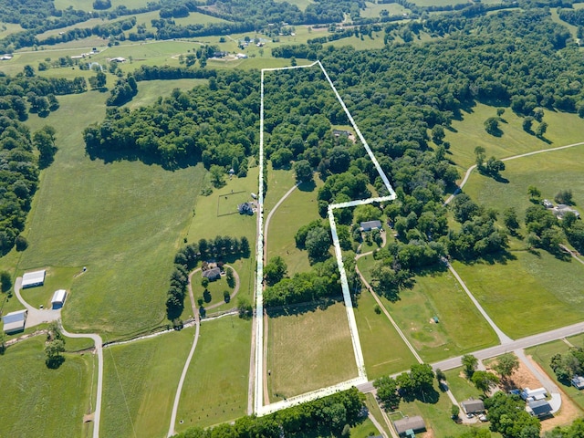 15687 Columbia Hwy, Lynnville, TN 38472 - overview of rural landscape featuring property boundaries highlighted
