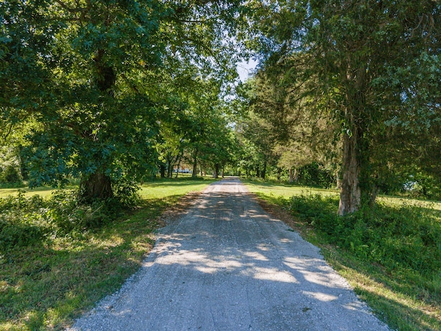 15687 Columbia Hwy, Lynnville, TN 38472 - view of dirt / gravel road