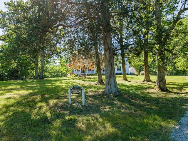 15687 Columbia Hwy, Lynnville, TN 38472 - view of green lawn