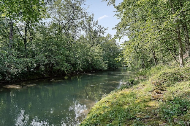 250 W Laurel Ave, Mcminnville, TN 37110 - photo 75
