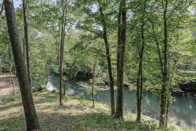 250 W Laurel Ave, Mcminnville, TN 37110 - photo 77