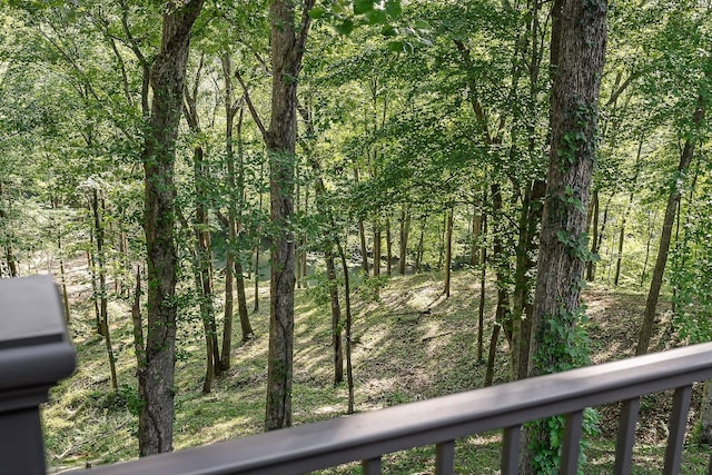 250 W Laurel Ave, Mcminnville, TN 37110 - photo 64