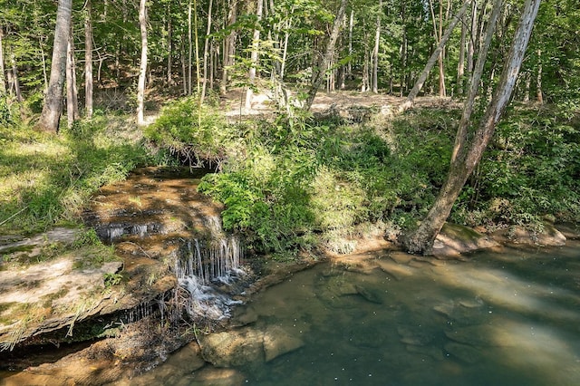 250 W Laurel Ave, Mcminnville, TN 37110 - photo 74