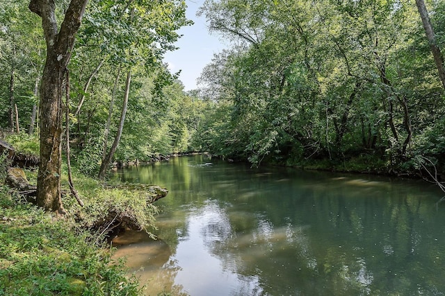 250 W Laurel Ave, Mcminnville, TN 37110 - photo 76