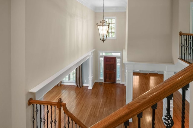 3037 Flagstone Dr, Franklin, TN 37069 - entryway with a chandelier, wood finished floors, ornamental molding, a high ceiling, and stairway