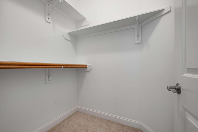 3037 Flagstone Dr, Franklin, TN 37069 - walk in closet with light carpet