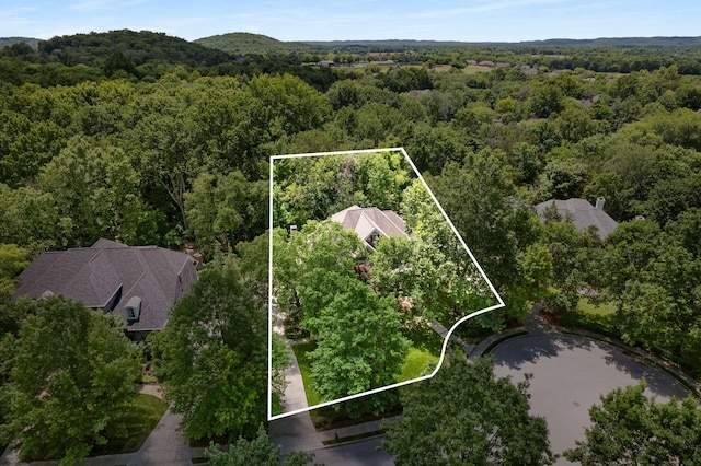 3037 Flagstone Dr, Franklin, TN 37069 - aerial view of property and surrounding area featuring a heavily wooded area and property boundaries highlighted