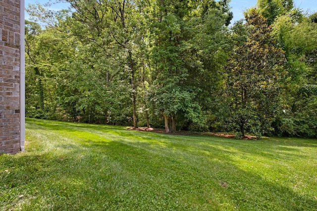 3037 Flagstone Dr, Franklin, TN 37069 - view of green lawn featuring a view of trees