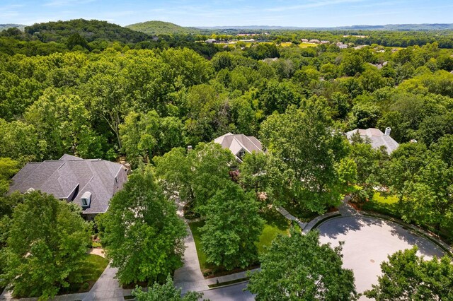 3037 Flagstone Dr, Franklin, TN 37069 - bird's eye view of a forest