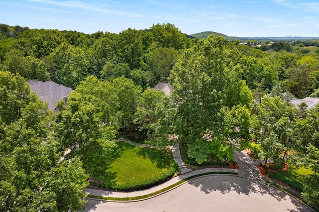 3037 Flagstone Dr, Franklin, TN 37069 - aerial view of a heavily wooded area