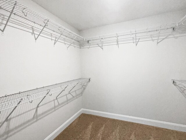 140 Kingstons Cv, Clarksville, TN 37042 - photo 23