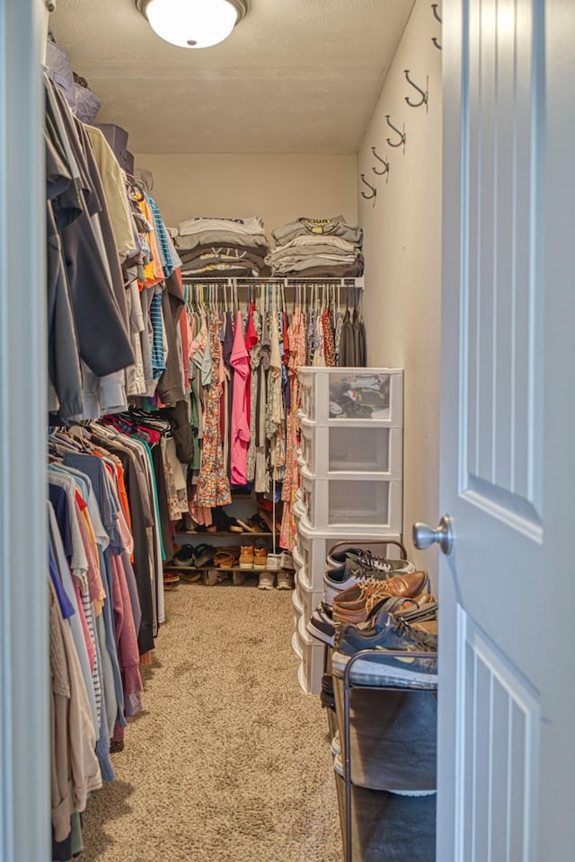 143 Rachelle Pl, Baxter, TN 38544 - spacious closet with carpet floors