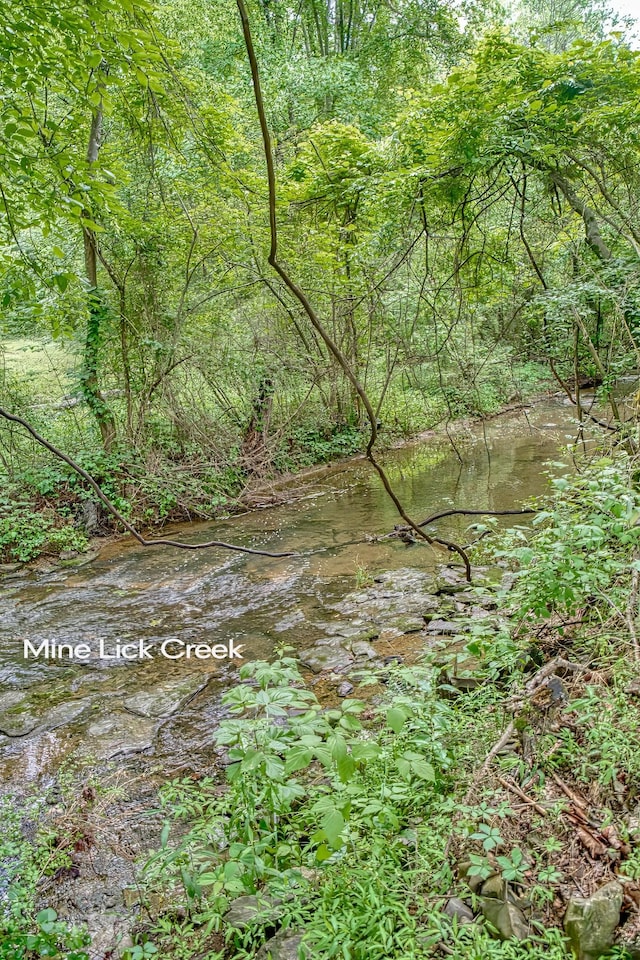 143 Rachelle Pl, Baxter, TN 38544 - view of undeveloped land