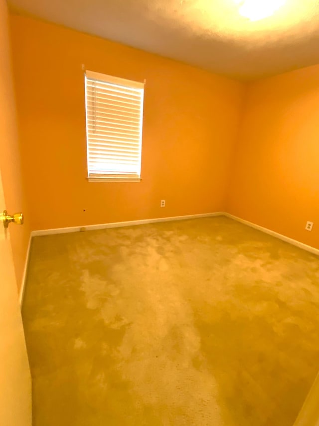 217 S Hancock St, Murfreesboro, TN 37130 - photo 15