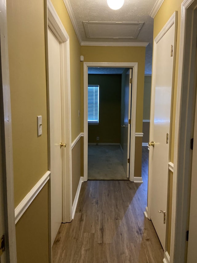 217 S Hancock St, Murfreesboro, TN 37130 - photo 10