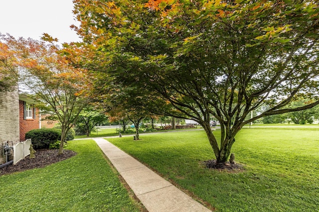 435 Richland Cir, Gallatin, TN 37066 - view of home's community featuring a yard