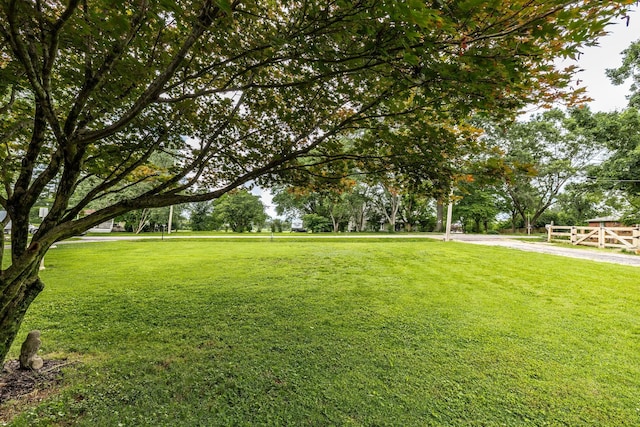 435 Richland Cir, Gallatin, TN 37066 - view of grassy yard