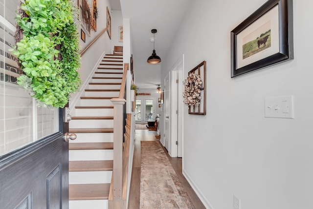803 Dallas Dr, Columbia, TN 38401 - staircase featuring baseboards