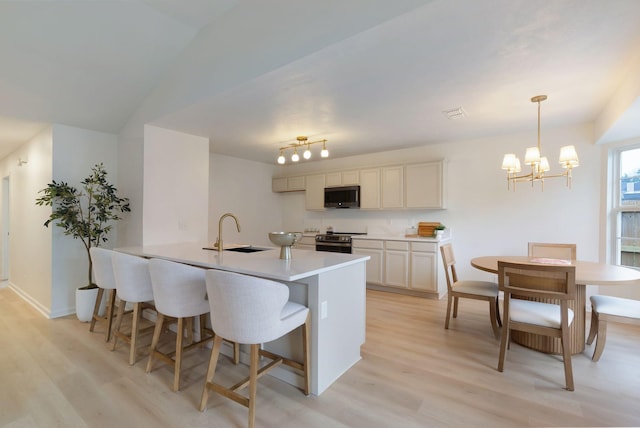 3755 Indian Creek Blvd, Murfreesboro, TN 37128 - kitchen with appliances with stainless steel finishes, a sink, light wood-style flooring, and a chandelier