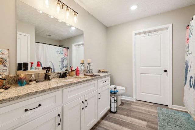 125 Vivian Ln, Carthage, TN 37030 - full bathroom with toilet, vanity, wood finished floors, baseboards, and recessed lighting