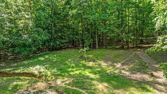 0 Jay Hutchings Rd, Sparta, TN 38583 - photo 6