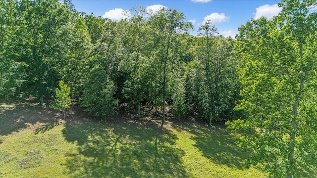 0 Jay Hutchings Rd, Sparta, TN 38583 - photo 8