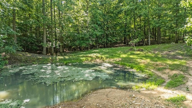 0 Jay Hutchings Rd, Sparta, TN 38583 - photo 5