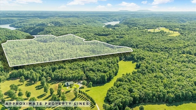 0 Jay Hutchings Rd, Sparta, TN 38583 - photo 1
