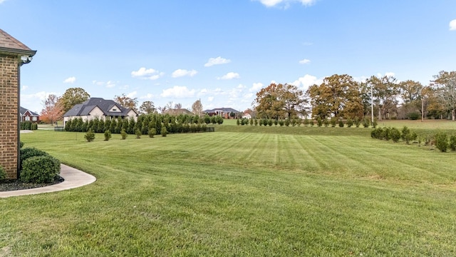 103 Rosehaven Ct, Tullahoma, TN 37388 - view of green lawn