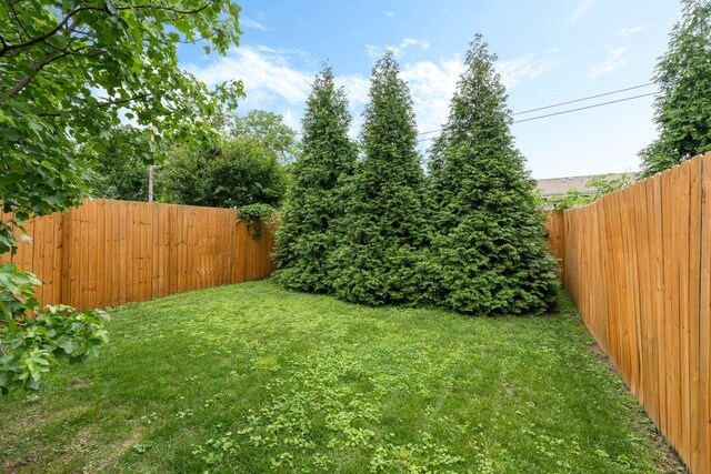 835B Dewees Ave, Nashville, TN 37204 - view of yard