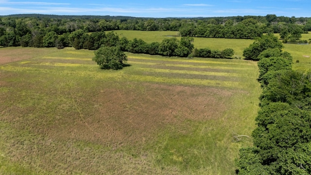 7736 Stewarts Ferry Pike, Mount Juliet, TN 37122 - overview of rural landscape