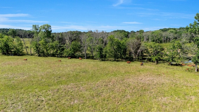 7736 Stewarts Ferry Pike, Mount Juliet, TN 37122 - view of yard featuring a wooded view