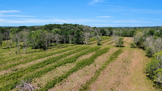 7736 Stewarts Ferry Pike, Mount Juliet, TN 37122 - aerial view of sparsely populated area with a forest