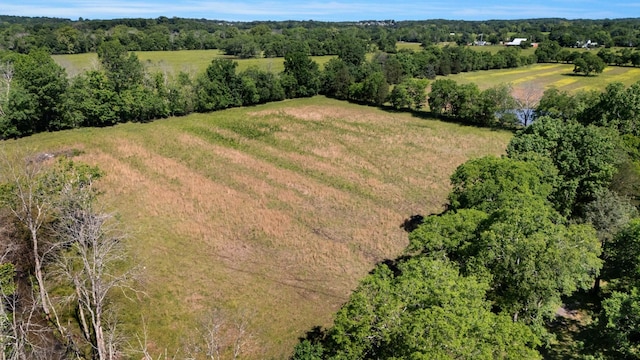 7736 Stewarts Ferry Pike, Mount Juliet, TN 37122 - aerial view of a forest