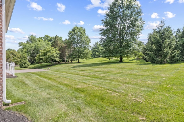 9166 Sydney Ln, Brentwood, TN 37027 - view of grassy yard