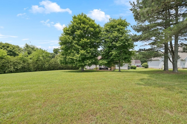 2754 Douglas Ln, Thompsons Station, TN 37179 - view of green lawn
