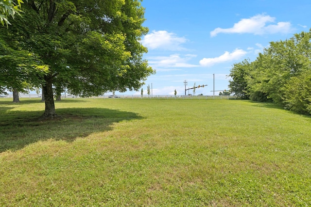 2754 Douglas Ln, Thompsons Station, TN 37179 - view of green lawn