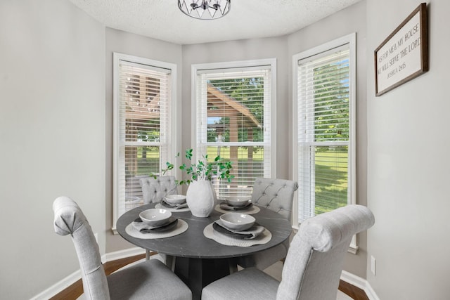 2754 Douglas Ln, Thompsons Station, TN 37179 - dining area with baseboards, wood finished floors, a textured ceiling, and a chandelier