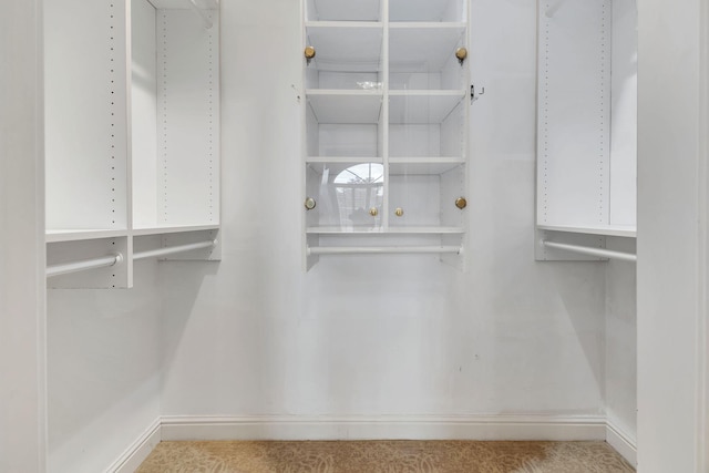 113 Middleton Cir, Nashville, TN 37215 - view of walk in closet