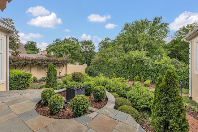 113 Middleton Cir, Nashville, TN 37215 - view of yard with a patio