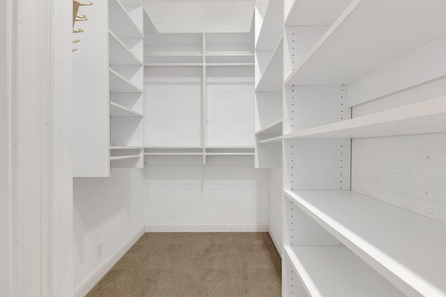 113 Middleton Cir, Nashville, TN 37215 - spacious closet featuring carpet floors