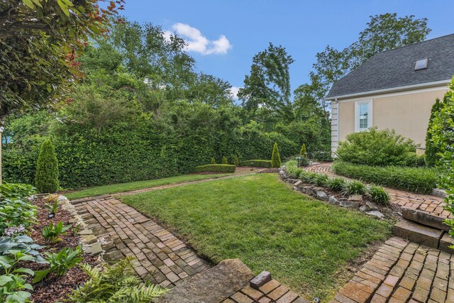 113 Middleton Cir, Nashville, TN 37215 - view of green lawn