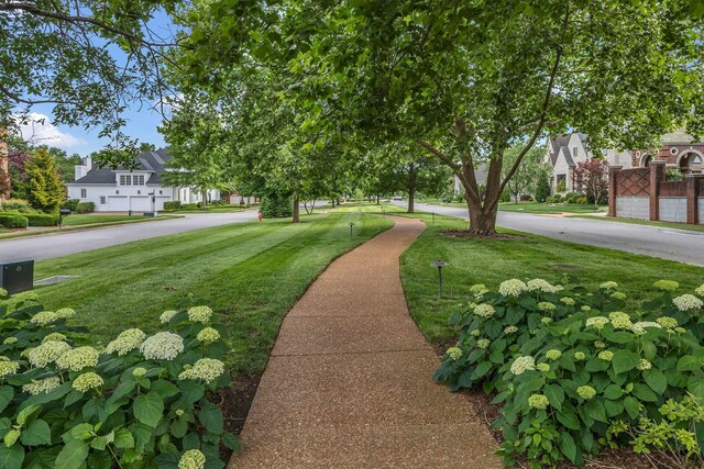 113 Middleton Cir, Nashville, TN 37215 - view of home's community with a residential view and a yard