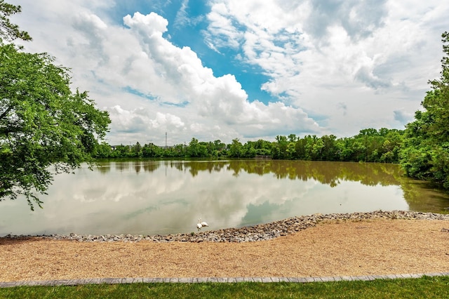 1068 Lakeland Dr, Gallatin, TN 37066 - photo 91